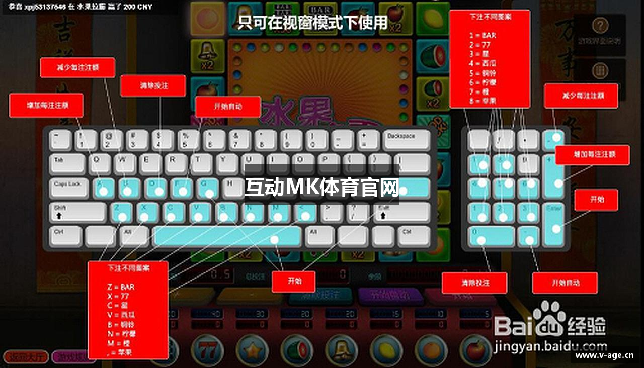 互动MK体育官网